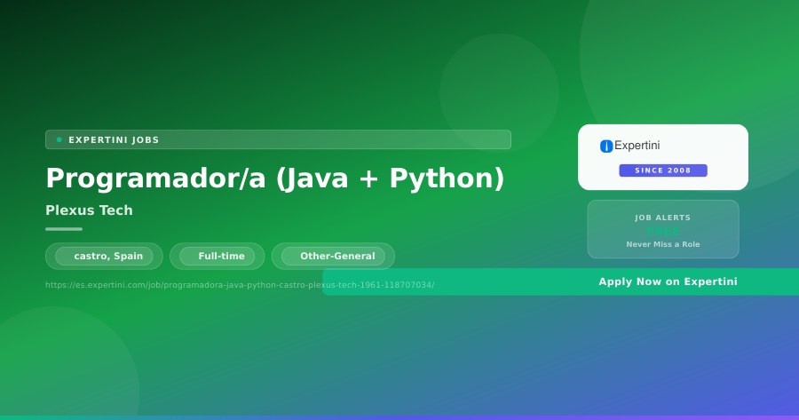 Programador/a (Java + Python) at Plexus Tech, castro — Apply Now