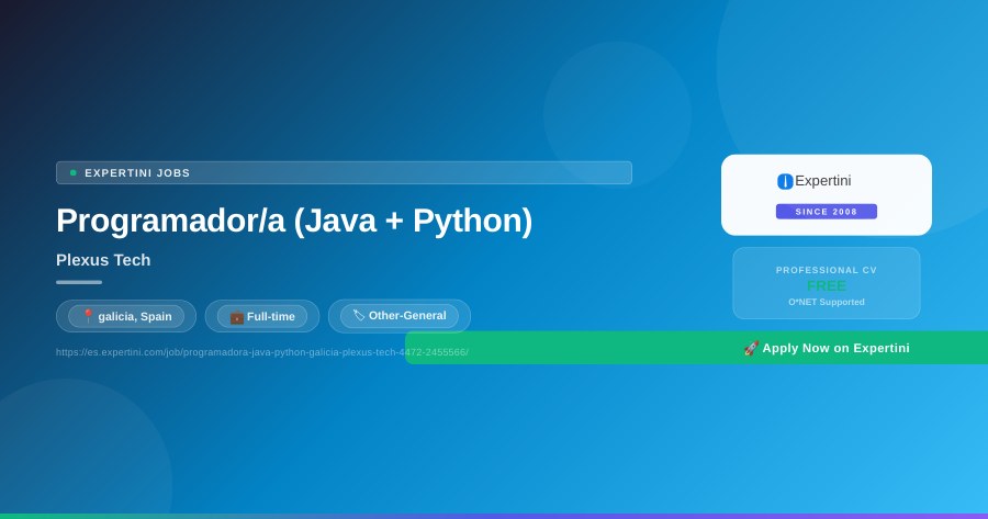 Programador/a (Java + Python) at Plexus Tech, galicia — Apply Now